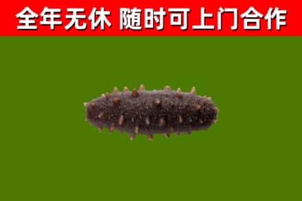 吉木萨尔县烟酒回收干海参.jpg